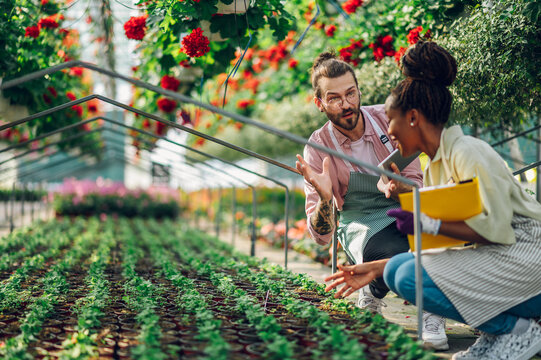 Multiracial florists working in a green house plant nursery