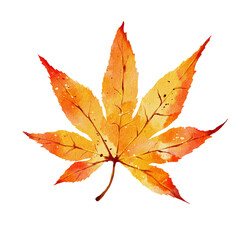 Watercolor autumn maple leaves illustration