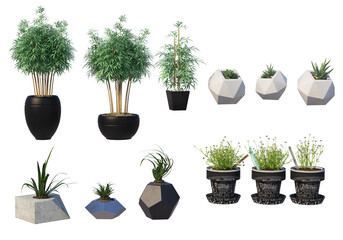 Plants in pots for decoration on a transparent background