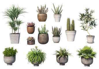 Fototapeta premium Plants in pots for decoration on a transparent background