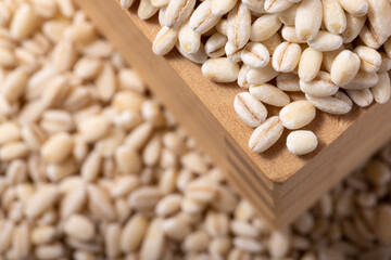 発芽玄米　(秋田県産　あきたこまち)