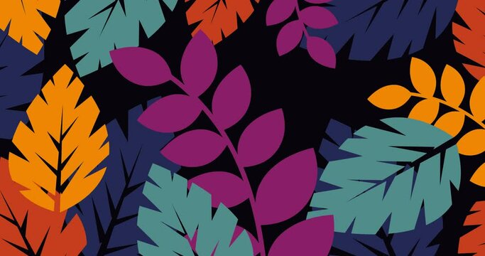colorful leaf background transition animation on dark background