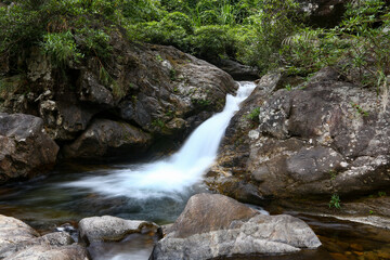Fototapeta premium waterfall in the forest