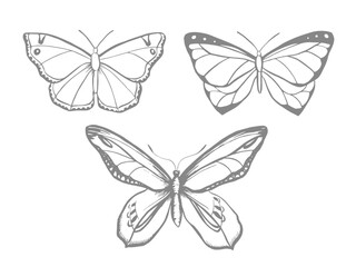 Stylized butterflies, line art, vector illustration