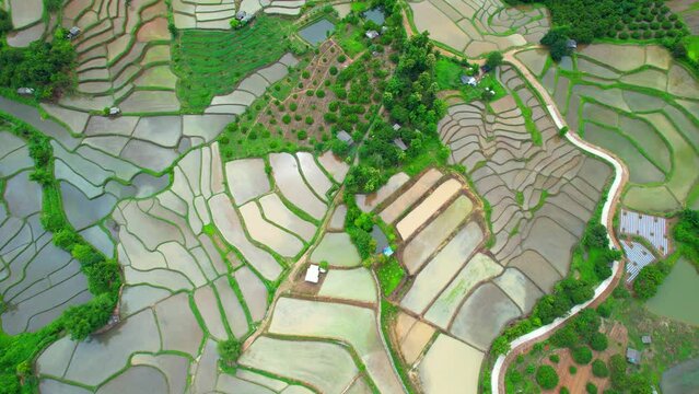 An aerial view over the beautiful rice terraces (Chiang Mai Province, Northern Thailand). Natural the texture for background. 4k. drones
