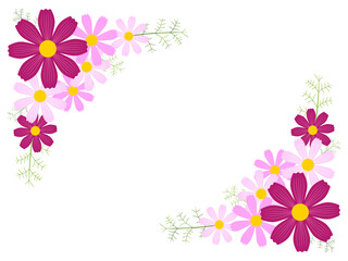 Obraz premium コスモスの背景