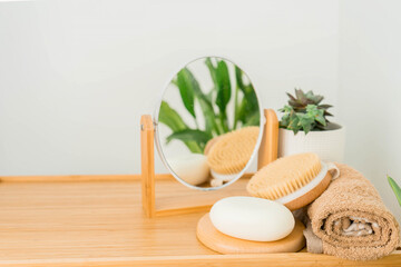 Green plants in bathroom. Eco-friendly life. Zero waste