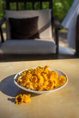 Raw chanterelles mushroom in white bowl.Macro shoot. Soft focus.