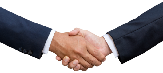 Business handshake and business people concepts. 
