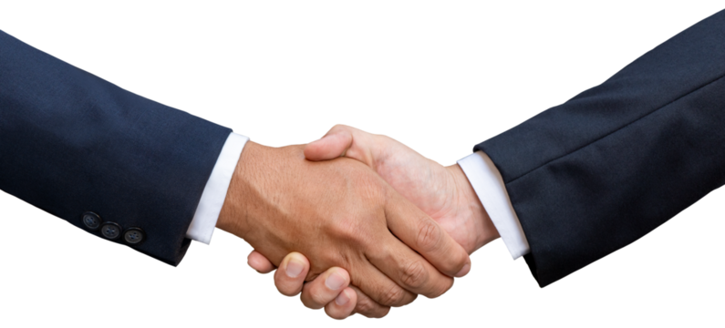 Business handshake and business people concepts. 