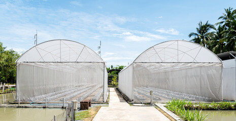 Outside view greenhouse for growing vegetables and fruits