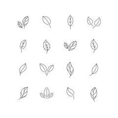 Set of leaves. Line style vector illustration.	