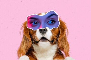 Magazine style collage with cute little doggy with female eyes expressing surprise isolated on pink background. Animal look, funny meme emotions
