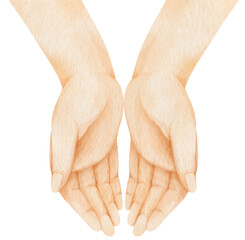 Hands pose open palm of hand watercolor illustration