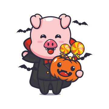 cute vampire pig holding halloween pumpkin. Cute halloween animal cartoon illustration.
