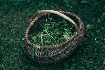 basket with grass standing on the grass