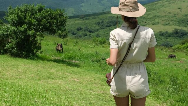 a female traveler takes a photo on a film camera of a wild boarin the savannah. giraffe in the savannah Serengeti National Park at sunset. Wild nature of Tanzania - Africa. Safari Travel Destination.