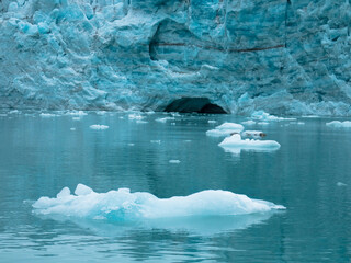 Samarinbreen ended in a calving front at Samarinvagan, a bay on the south side of the Hornsundfjord. Concept for climate change, global warming, north pole, cold nature. Svalbard, Norway