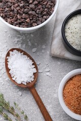 Different kinds of salt on grey table, flat lay