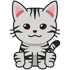Fototapeta na wymiar Cartoon character american shorthair cat for design