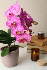 Beautiful blooming orchid, books and burning candle on white table