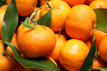Fresh ripe tangerines with leaves as background, closeup. Citrus fruit