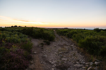 Paysage au lever du soleil sur les landes de bruyères et de fougères du Mont Caroux