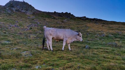 Fototapeta premium Puig de la Grava-Portell de la Grava-La Cerdanya-Pirineu