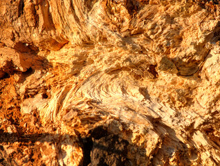 Arbre arraché à Bohas, Ain, France