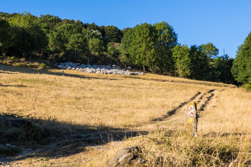 Fototapeta na wymiar Troupeau de moutons à côté du hameau de Douch sur les pentes du Mont Caroux