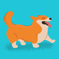 Vector illustration of dog. Dog breed Corgi.