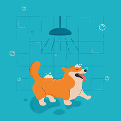 Vector illustration of dog. Dog breed Corgi. Grooming, veterinary clinic