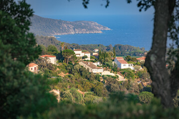 French riviera,  a bay - view from the hill in La Croix Valmer