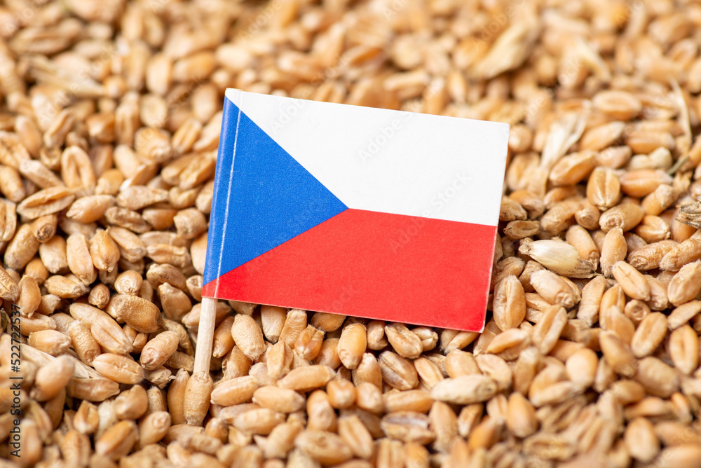 Canvas Prints Flag of Czech Republic on wheat grain. Grain grown in Czech Republic, concept of harvest, origin of bread