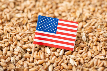 Flag of USA on wheat grain. Concept of harvest of grain in USA