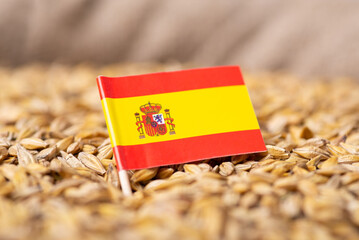 Flag of Spain on barley grain. Growing barley in Spain concept