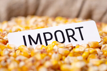 Paper with inscription Import on corn grain. Concept of selling grain abroad, trade between...