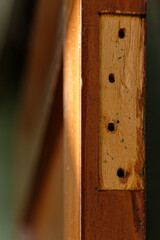 Three hinge holes in a solid wooden, rimu door