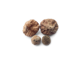 Isolated tectona grandis seeds on white background, soft and selective focus.