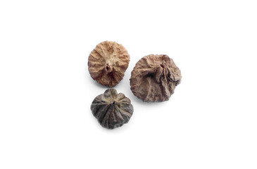 Isolated tectona grandis seeds on white background, soft and selective focus.