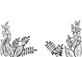 Frame of plants: leaves and grass in black on a white background