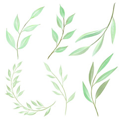 Watercolor green leaves collection. Set of lovely watercolor leaves and branches. Png illustration.