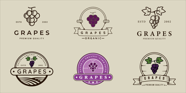 set of grape logo line and vintage vector illustration template icon graphic design. bundle collection of various organic fruit sign or symbol for farm product and food or drink business