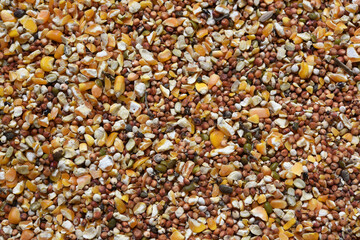Texture of seed and grain mix for bird feed and livestock .