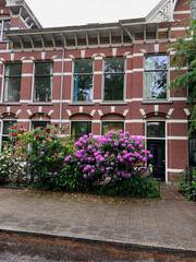 Fototapeta na wymiar Modern residential building with beautiful blooming flowers on city street