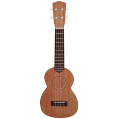 Obraz premium ukulele brown wood surface musical instruments for children