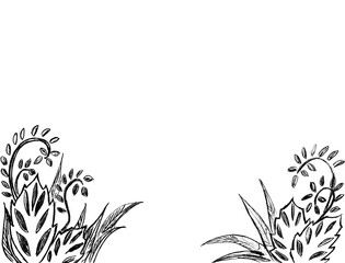  Frame of plants: leaves and grass in black on a white background