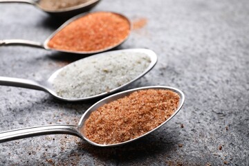 Spoons with different kinds of salt on grey table, closeup