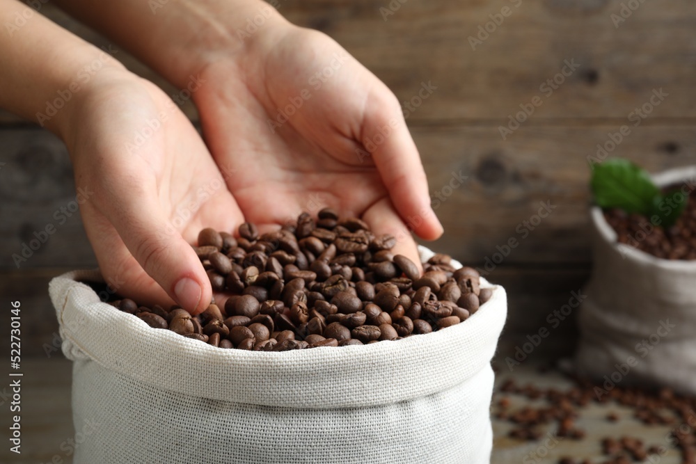 Poster Woman taking roasted coffee beans from bag, closeup