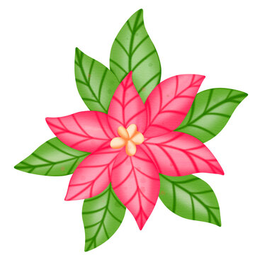 Christmas-Flower flat watercolor